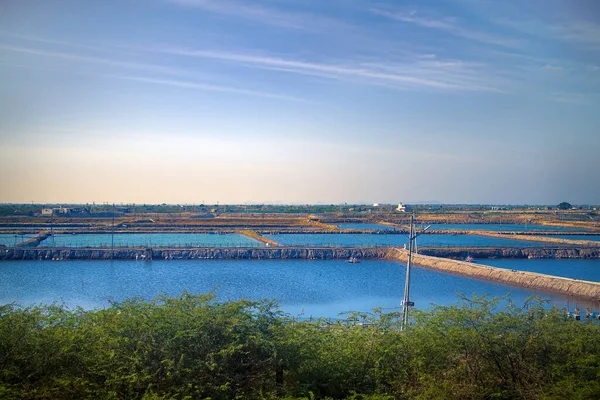 Fish Pond and Dams For Fishing Agriculture Farms Africa Green Harvest In Liberia